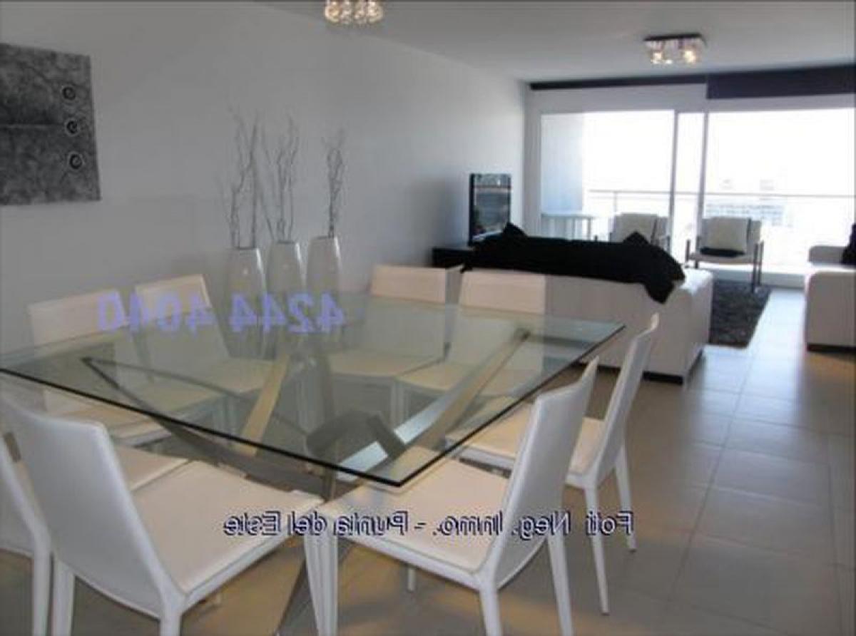 3 bedrooms Apartment in Punta del Este, Uruguay No. 12908