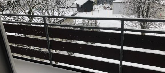 2 غرف نوم شقة في Hochsauerlandkreis, Germany رقم 115236 11