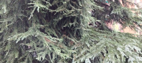 4 Schlafzimmer Wohnung in Arese, Italy, Nr. 330406 15