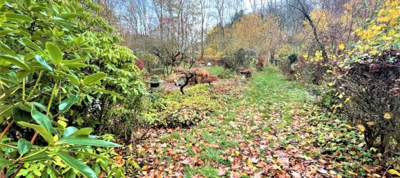 Villa T5 em Vulkaneifel, Germany N.º 160366 28