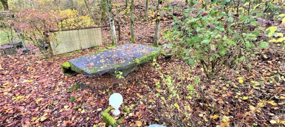 Villa T5 em Vulkaneifel, Germany N.º 160366 30