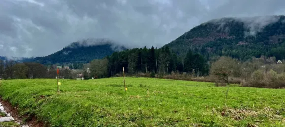 2161m² Land in Saint-Die-des-Vosges, France No. 66672 2