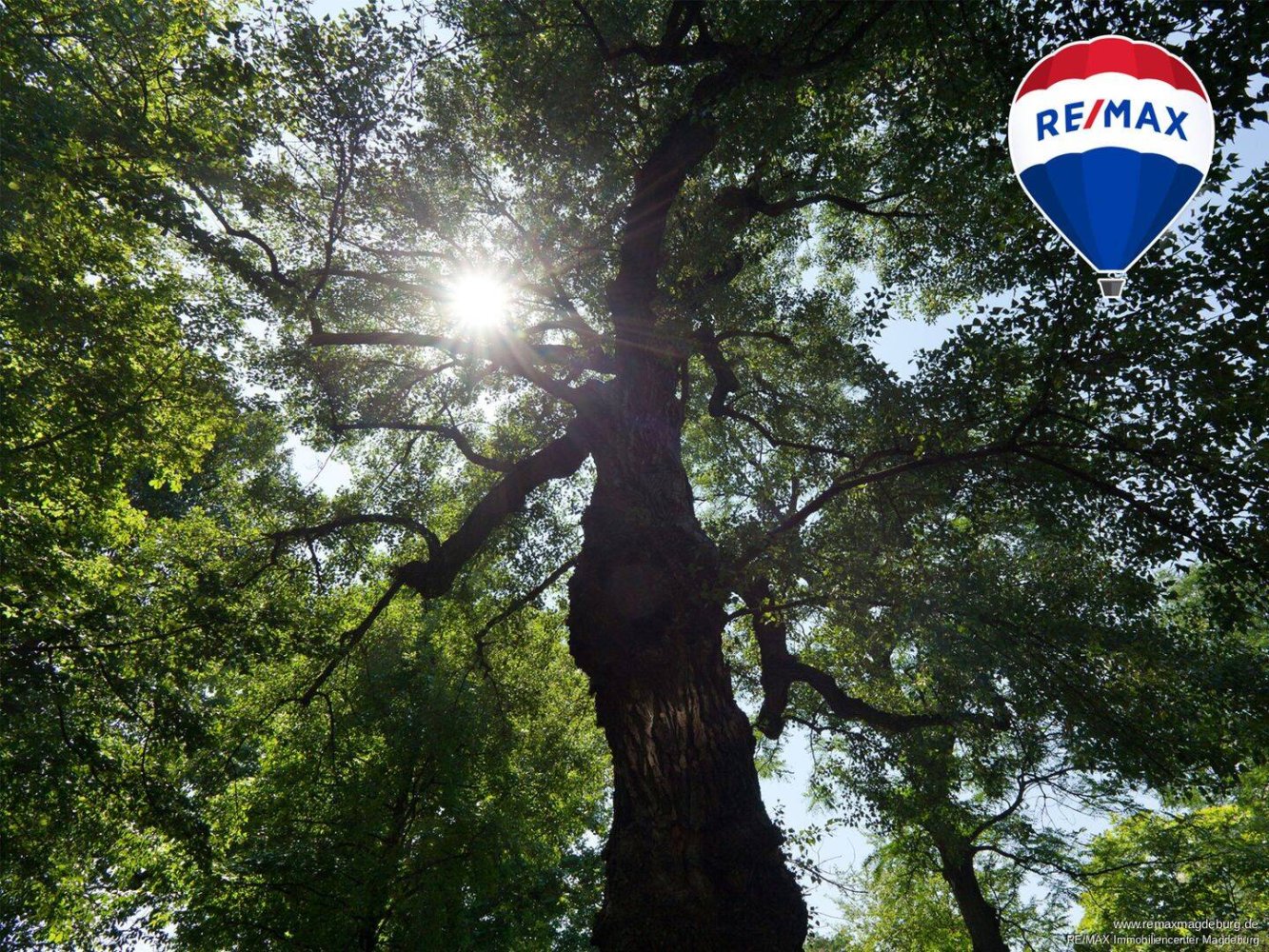 Grundstück in Jerichower Land, Germany 6995m², Nr. 343289