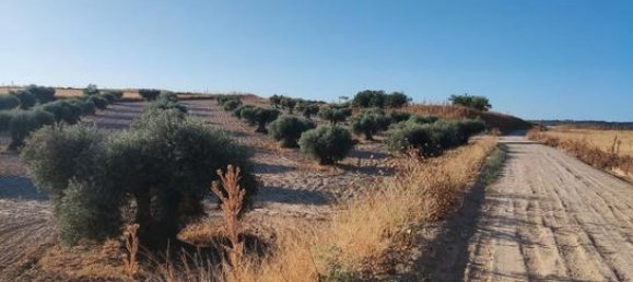 6000m² Land in Toledo, Spain No. 185000 4