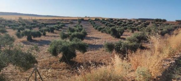 6000m² Land in Toledo, Spain No. 185000 15