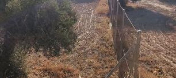 6000m² Land in Toledo, Spain No. 185000 8