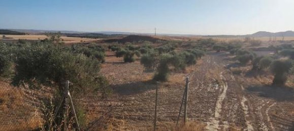 6000m² Land in Toledo, Spain No. 185000 10