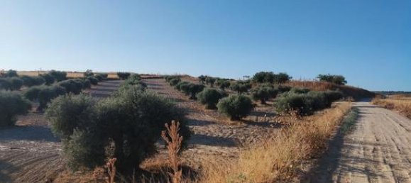 6000m² Land in Toledo, Spain No. 185000 2