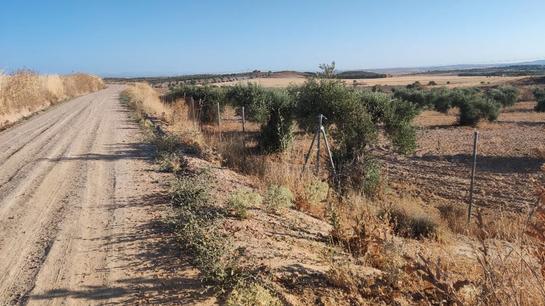 6000m² Land in Toledo, Spain No. 185000