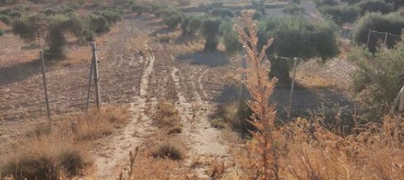 6000m² Land in Toledo, Spain No. 185000 11