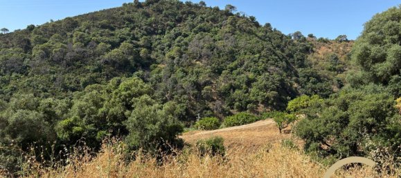  Land in Estepona, Spain No. 145523 4