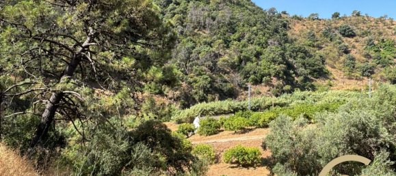  Land in Estepona, Spain No. 145523 10