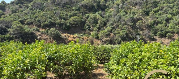  Land in Estepona, Spain No. 145523 19