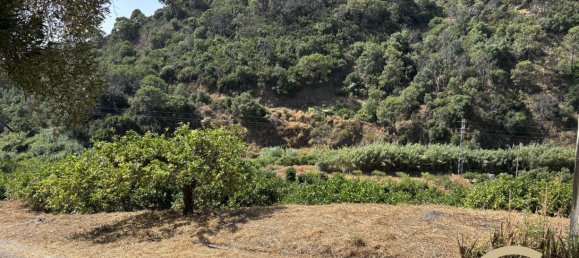  Land in Estepona, Spain No. 145523 17