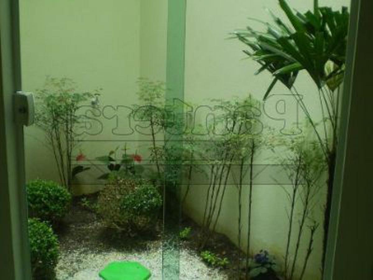 3 Schlafzimmer Haus in Sao Paulo, Brazil, Nr. 571202