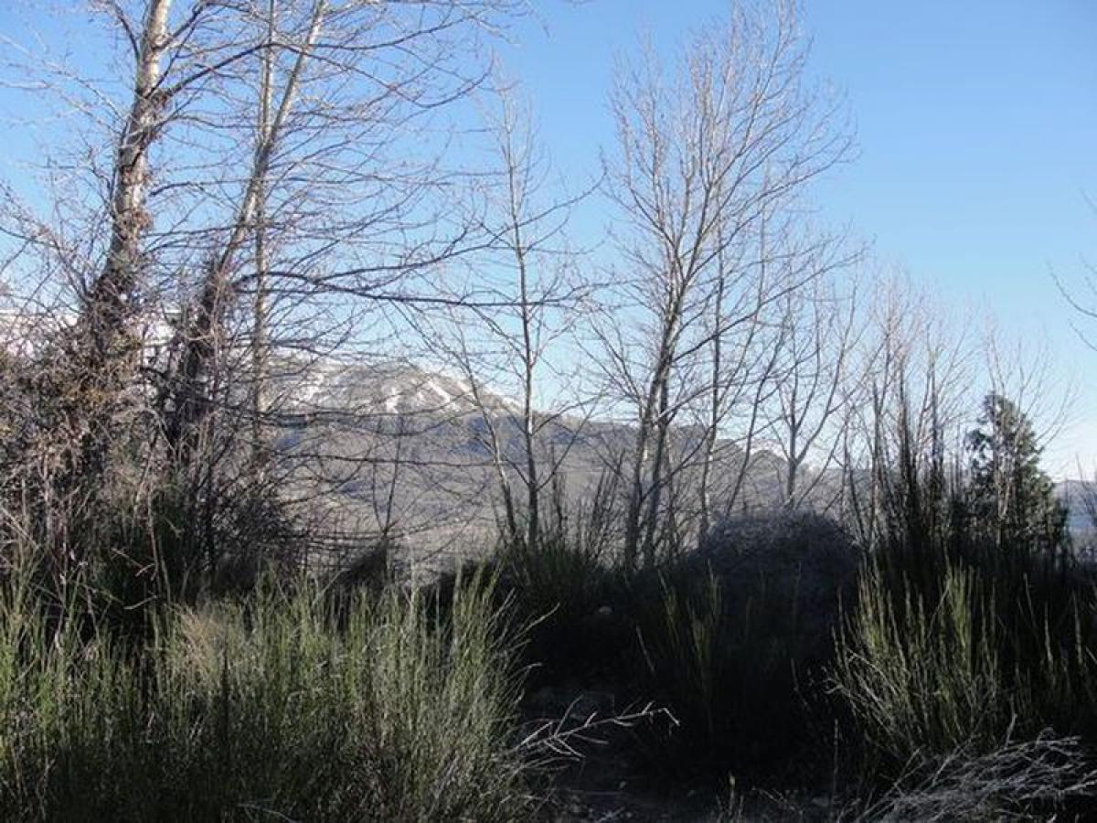  Land in Neuquen, Argentina No. 32293
