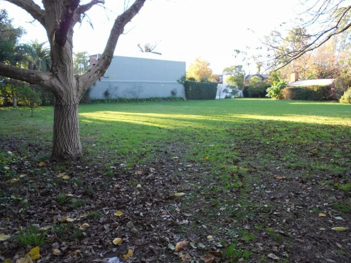  Land in Ituzaingo, Argentina No. 39969