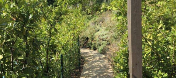 Studio à Dobling, Austria No. 63127 8