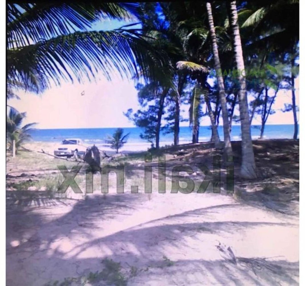 Terreno en Veracruz, Mexico No. 203544