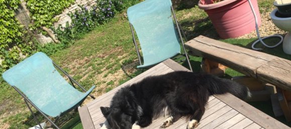 3 غرف نوم منزل في Dohis, France رقم 64389 25