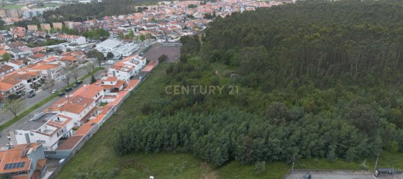  Land in Moreira, Portugal No. 318167 6