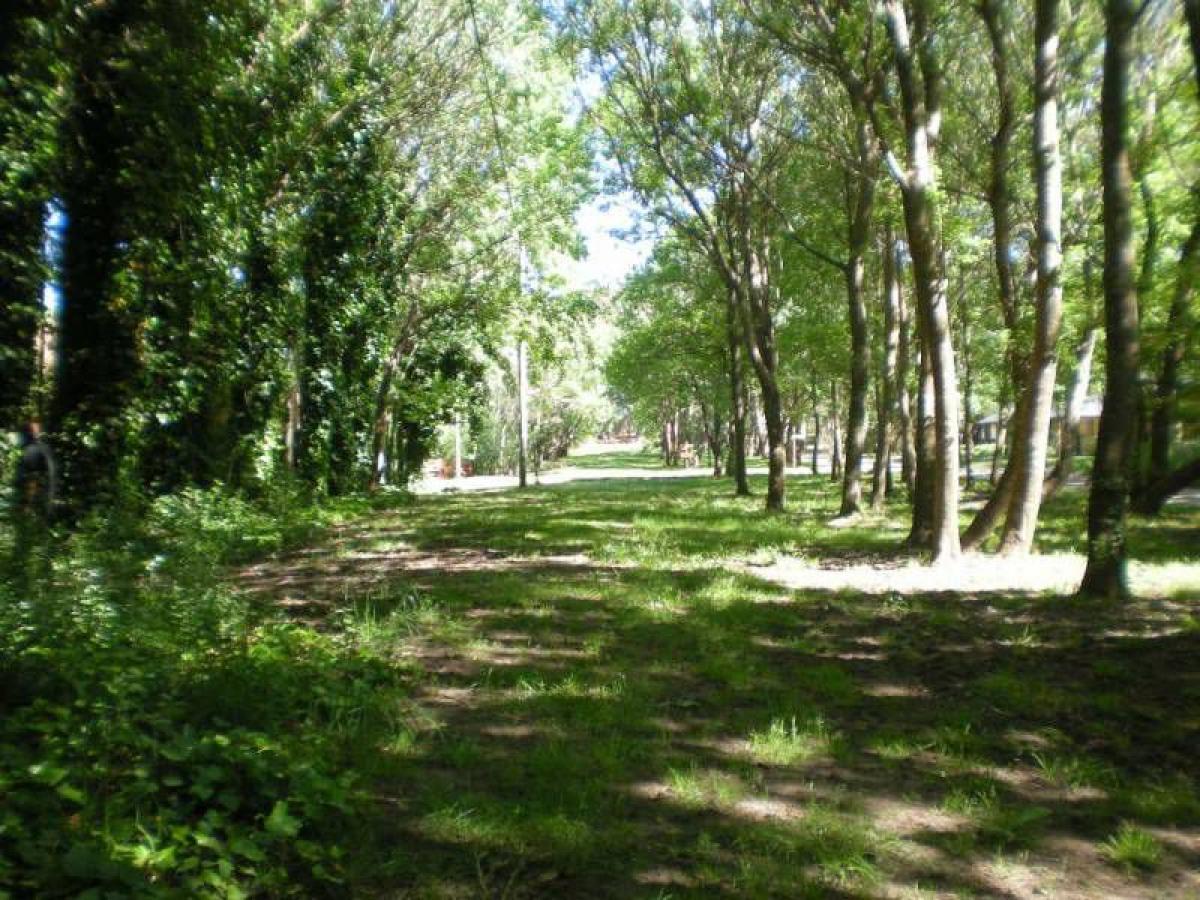 Terrain à Mar del Plata, Argentina No. 114132