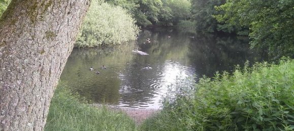 1 Schlafzimmer Wohnung in Herzogtum Lauenburg, Germany, Nr. 106275 11