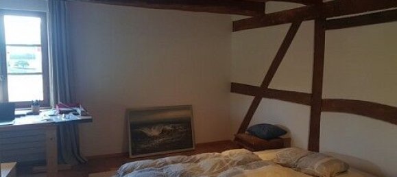 5 bedrooms House in Hundsbach, France No. 92757 39