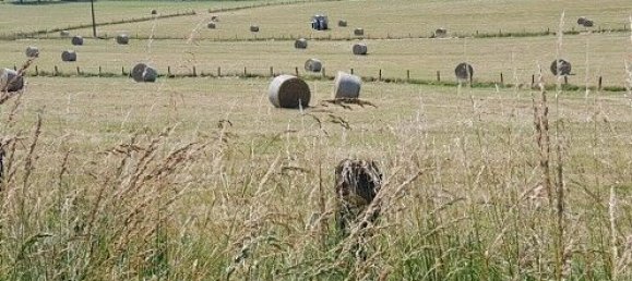 5 bedrooms House in Hundsbach, France No. 92757 19