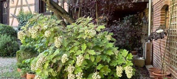 5 bedrooms House in Hundsbach, France No. 92757 47