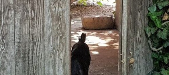 5 bedrooms House in Hundsbach, France No. 92757 41