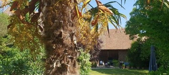 5 bedrooms House in Hundsbach, France No. 92757 12