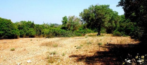 Grundstück in Salve, Italy 120m², Nr. 169744 12