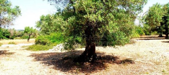 Grundstück in Salve, Italy 120m², Nr. 169744 9