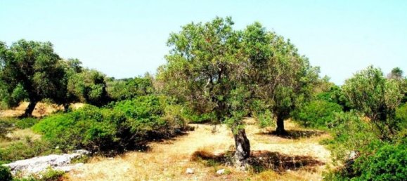 Grundstück in Salve, Italy 120m², Nr. 169744 7