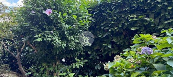 1 bedroom Apartment in Viterbo, Italy No. 268215 35