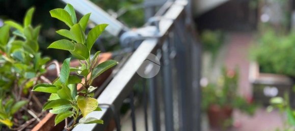 1 bedroom Apartment in Viterbo, Italy No. 268215 36