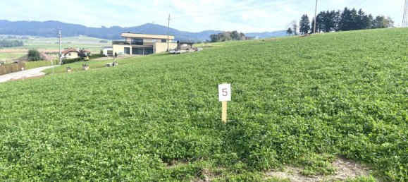  Land in Eberschwang, Austria No. 130765 4