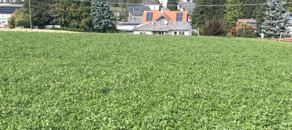  Land in Eberschwang, Austria No. 130765 2