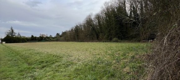 Terreno em Ancier, France N.º 270577 2