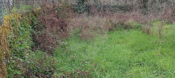 3 bedrooms House in Alcafache, Portugal No. 165075 7