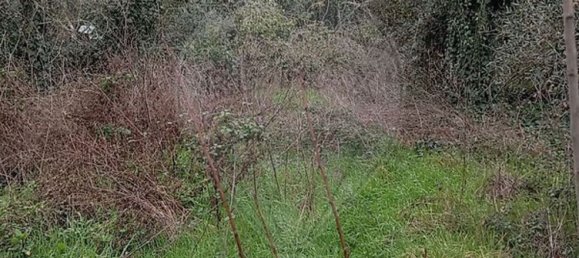 3 bedrooms House in Alcafache, Portugal No. 165075 9