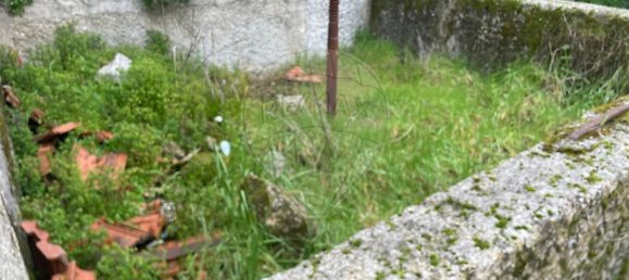 3 bedrooms House in Alcafache, Portugal No. 165075 4