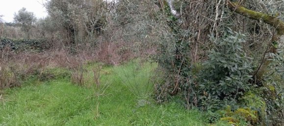 3 bedrooms House in Alcafache, Portugal No. 165075 8