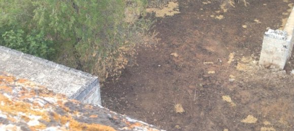 Casa de 20 habitaciónes en Nociglia, Italy No. 30567 19