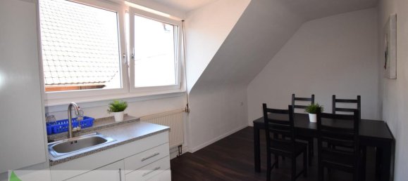 Edificio de 6 habitaciónes en Enzkreis, Germany No. 10184 9