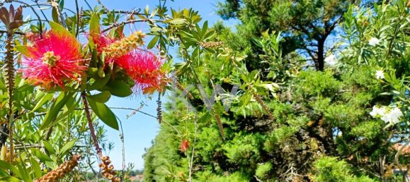 4 chambres Maison à Tomar, Portugal No. 156521 36
