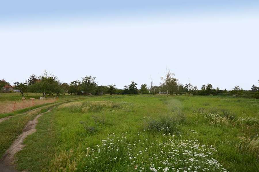 Terreno en Harz, Germany No. 180482