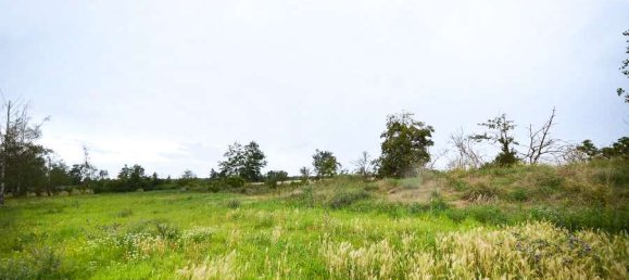 Terreno en Harz, Germany No. 180482 2