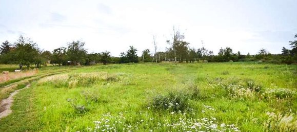 Terreno en Harz, Germany No. 180482 3